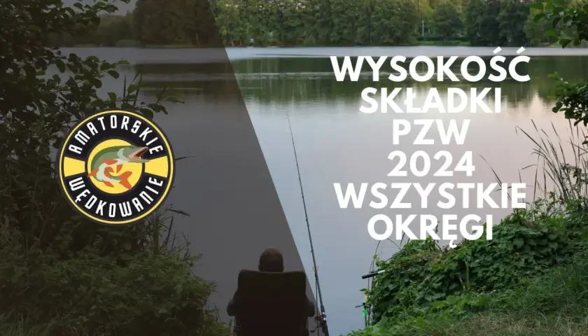 Ile kosztuje zezwolenie wędkarskie? Sprawdź ceny i różnice regionalne