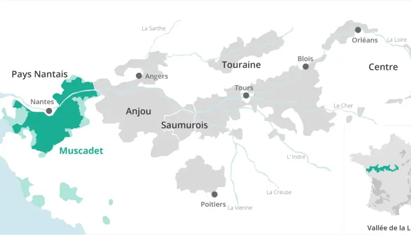 Carte des régions viticoles de la Loire, mettant en évidence le vignoble nantais et le Muscadet.
