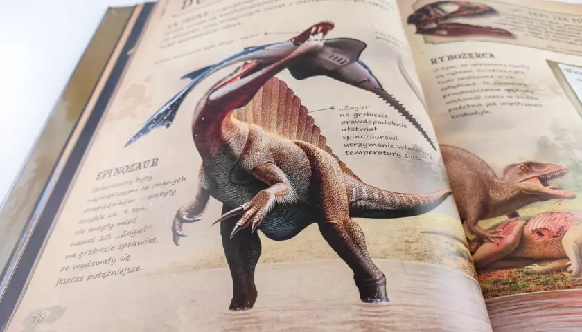 Otwarta książka z ilustracją Spinozaura, idealna jako najlepsza książka o dinozaurach dla dzieci. Pokazuje jego wielkość i cechy.