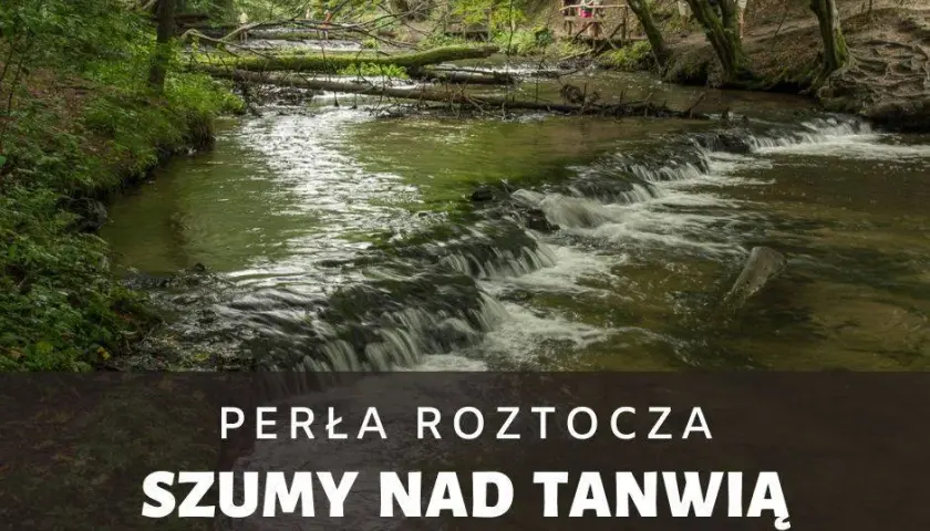 Rezerwat Szum: Kaskady Tanwi, szlaki i planowanie wycieczki na Roztoczu