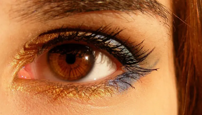 Ojos marrones con un espectacular maquillaje dorado y azul brillante.