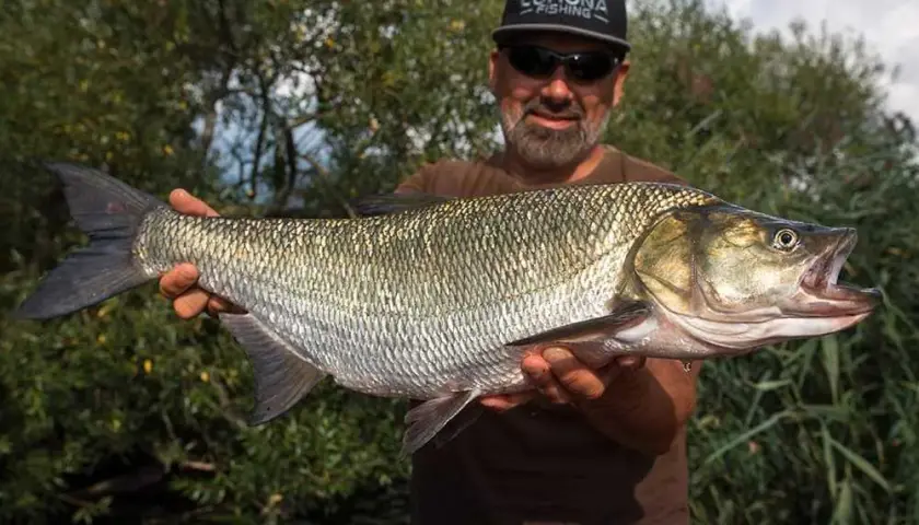 Marcowy spinning: Jakie ryby łowić i gdzie szukać? Poradnik