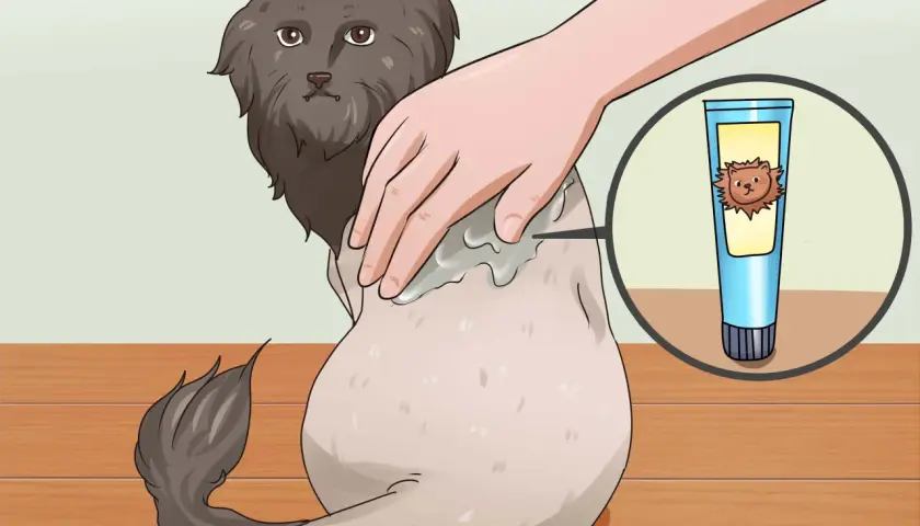 A hand applies cream to a fluffy cat's back, showing a tube of cream with a lion-like cat on it. This illustrates how to shave a cat.