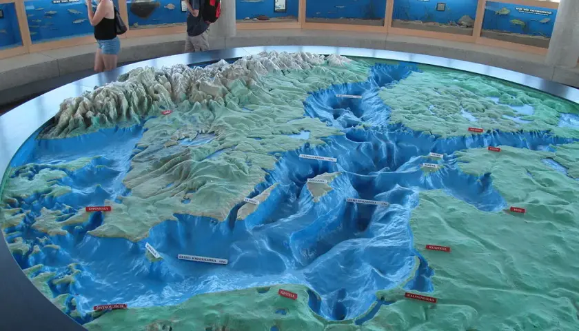 Oceanarium Gdynia - co warto zobaczyć, godziny otwarcia i ceny biletów