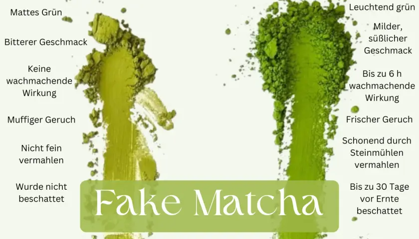 Vergleich von "Fake Matcha" (links, mattgrün, bitter) mit hochwertigem, zeremoniellen Matcha (rechts, leuchtend grün, mild, süßlich).