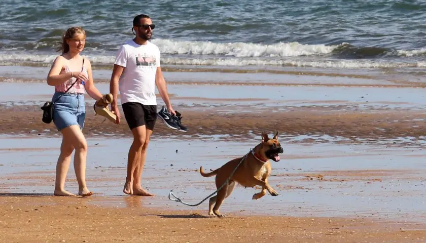 Pareja pasea por la playa con su perro, disfrutando de uno de los mejores playas para ir con perros.