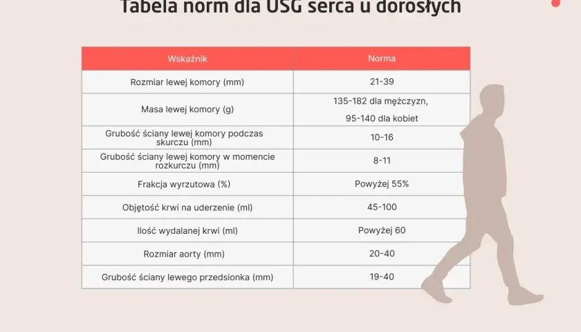 Tabela norm dla USG serca u dorosłych: rozmiar, masa, grubości ścian, frakcja wyrzutowa, objętość krwi na uderzenie i ilość wydalanej krwi.