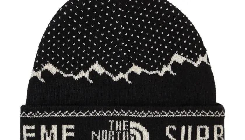 North Face Mütze kaufen? Finde dein Modell: Echtheit, Pflege & Style
