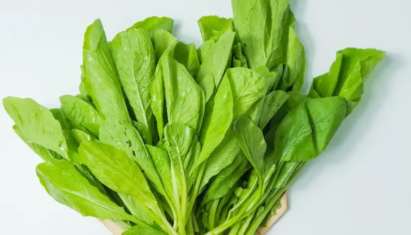 Ein Bündel frischer, grüner Blätter, die an Spinat erinnern. Dieses Blattgemüse ist ein Beweis dafür, wie gesund spinat gesund ist.