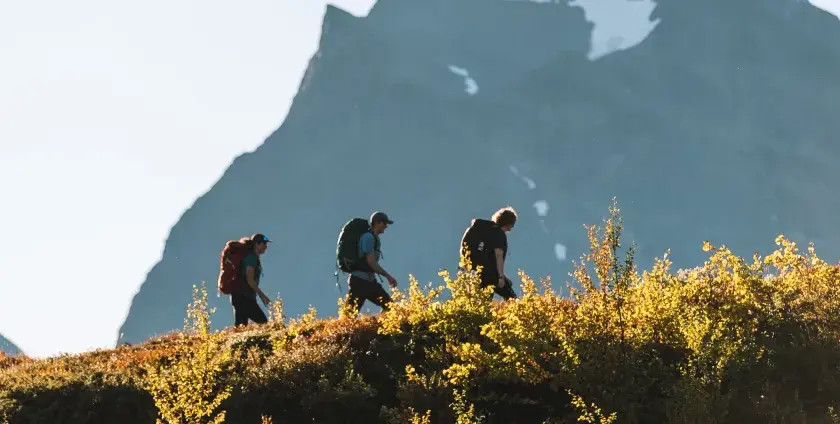 Vandrare på väg mot Kebnekaise från Nikkaluokta, med höstens färger och fjäll i bakgrunden.