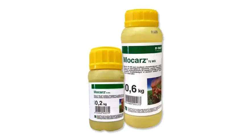 Mocarz: Cena, Skład, Objawy Zatrucia i Prawne Konsekwencje