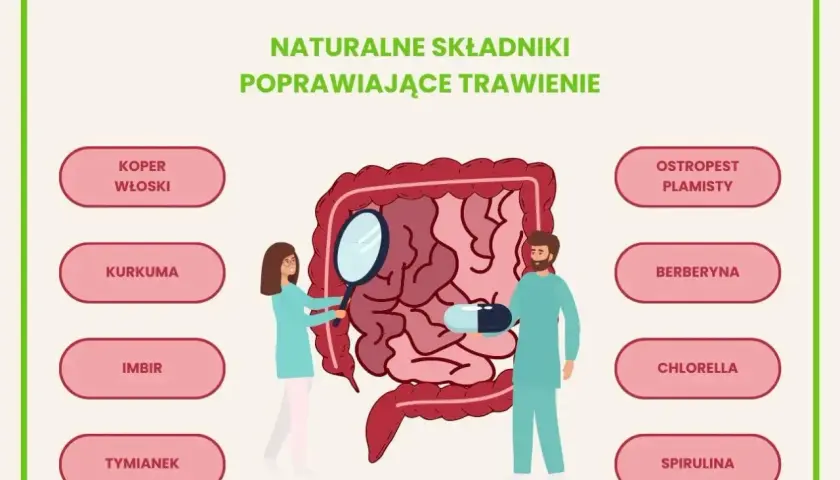 Naturalne składniki jak koper włoski, kurkuma, imbir, tymianek, ostropest plamisty, berberyna, chlorella i spirulina pomagają jak poprawić trawienie żołądka.