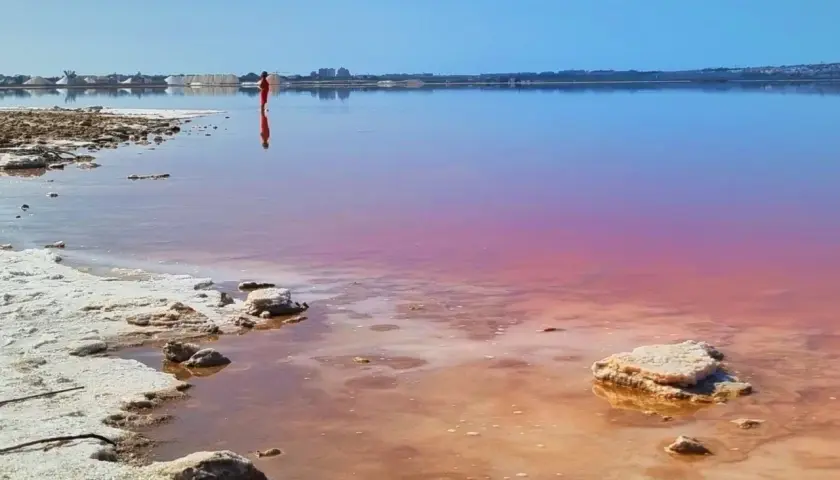Alicante różowe jezioro zachwyca odcieniem. Samotna postać w czerwieni stoi w wodzie, odbijając się w jej tafli.