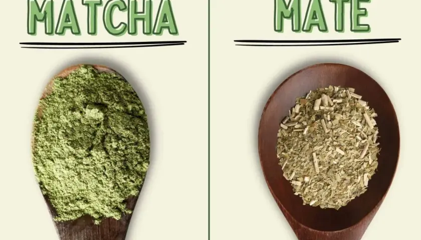 Fein gemahlenes Matcha-Pulver und zerkleinerte Mate-Blätter auf Holzlöffeln. Ein visueller Vergleich von Matcha vs. Mate.