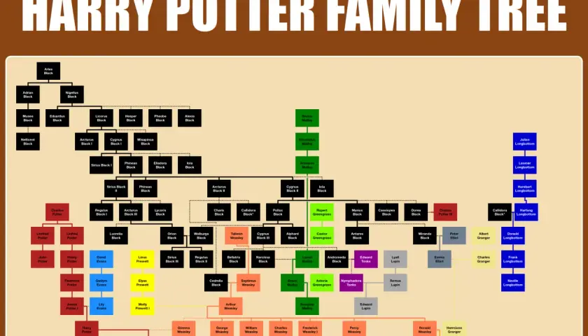 Drzewo genealogiczne rodziny Potter i powiązanych rodów, z zaznaczonymi rodami Weasleyów, Blacków, Malfoyów i Longbottomów.