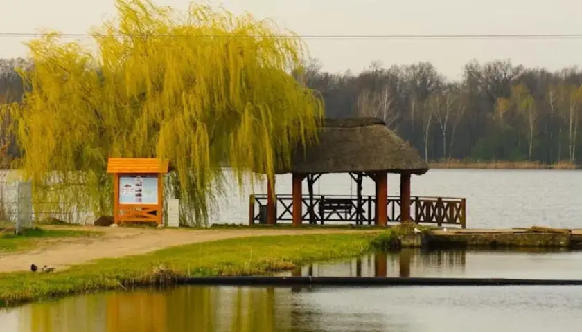 Łowisko Pawłowice: Wszystko, co musisz wiedzieć o wędkowaniu