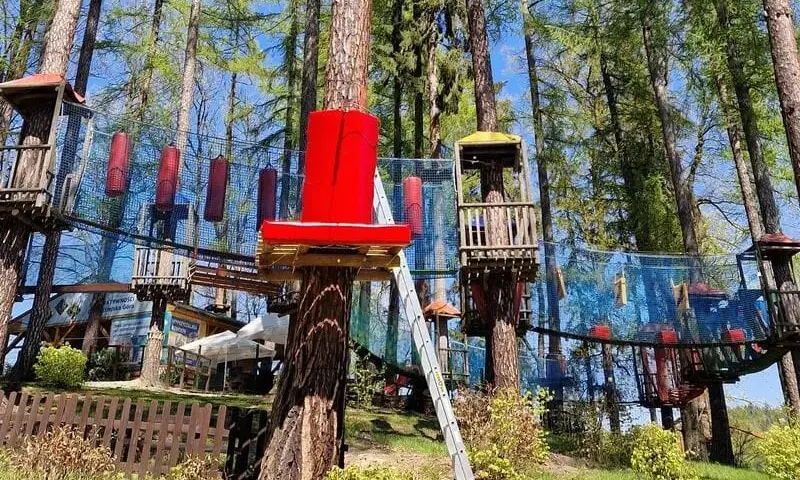 Park linowy Wałbrzych - trasy, ceny i atrakcje dla całej rodziny