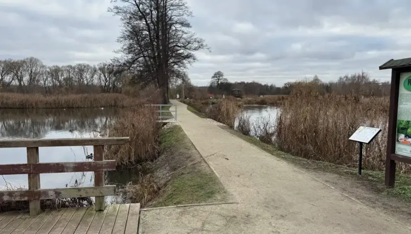 Spacer po ścieżce nad jeziorem, idealne miejsce na spacer z psem w Białowieży.