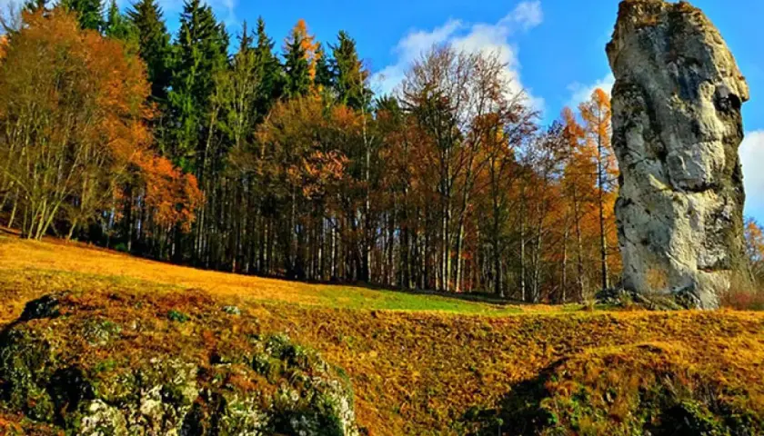Jesienna trasa Maczuga Herkulesa. Olbrzymia skała góruje nad złotymi polami i kolorowym lasem.