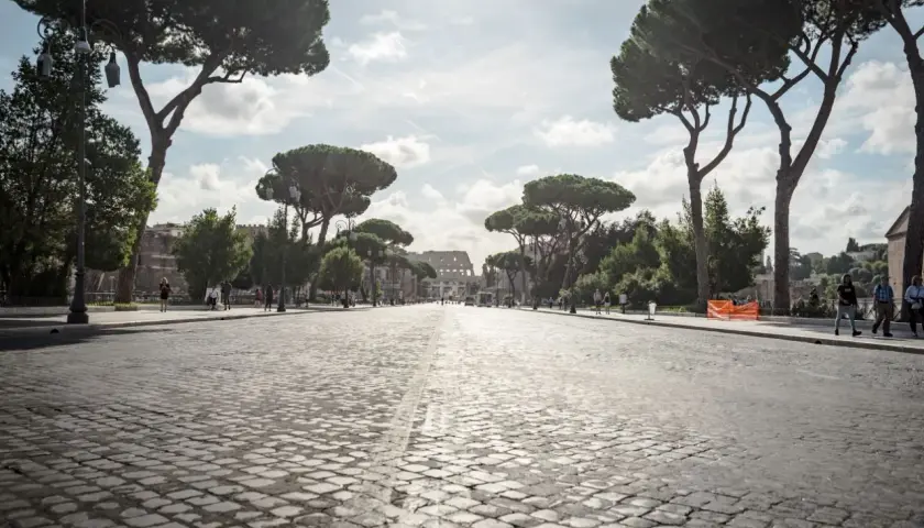 Viale alberato con pini marittimi che conduce al Colosseo, un'icona del re di Roma quartiere. Passeggiata suggestiva su sampietrini.