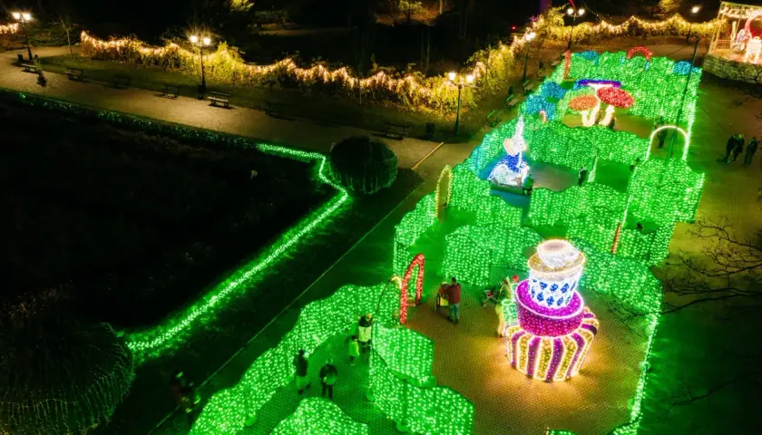 Magiczny park miliona świateł nocą. Zielone labirynty, kolorowe grzyby i gigantyczne ciastko tworzą bajkową scenerię.