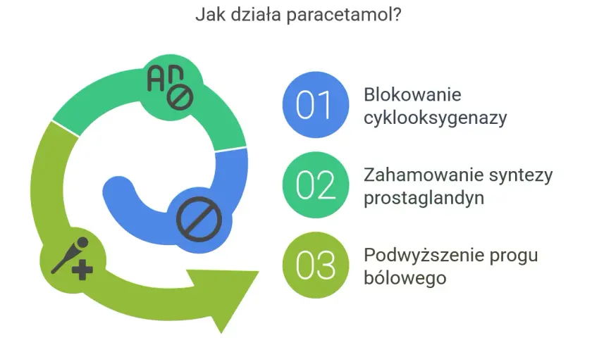 Schemat wyjaśnia, jak działa paracetamol: blokuje cyklooksygenazę, hamuje syntezę prostaglandyn i podwyższa próg bólowy.
