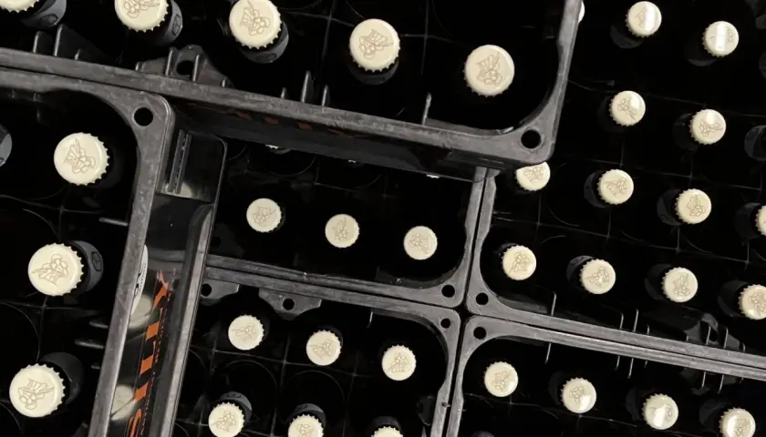 Bouteilles noires empilées dans des casiers, prêtes pour la fermentation haute. Les capsules crème arborent un motif discret.