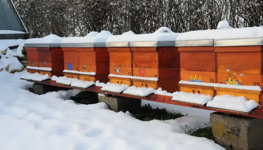Bienenstöcke im Schnee. Die Bienen sind im Winter nicht aktiv, aber sie sterben nicht, sondern ruhen sich aus.