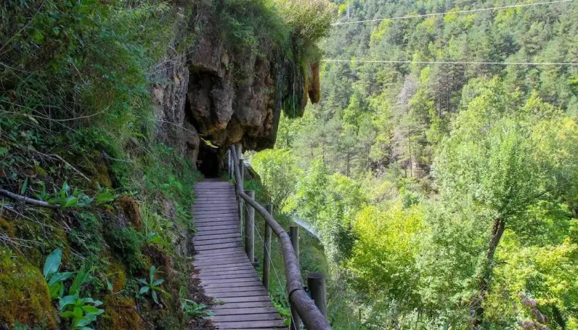 Pasarela de madera junto a un acantilado cubierto de vegetación, ideal para rutas senderismo Catalunya. Bosque frondoso al fondo.