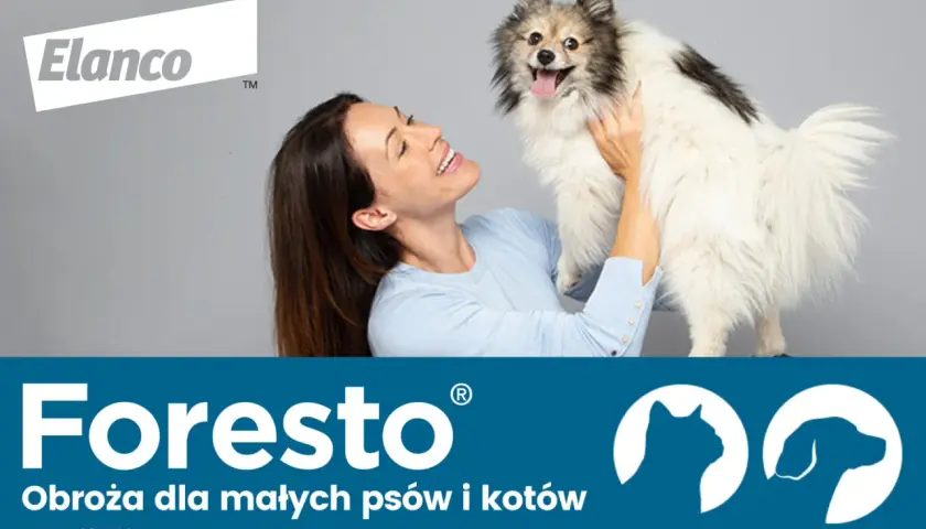 Jak założyć psu obrożę przeciwpchelną i uniknąć błędów w aplikacji