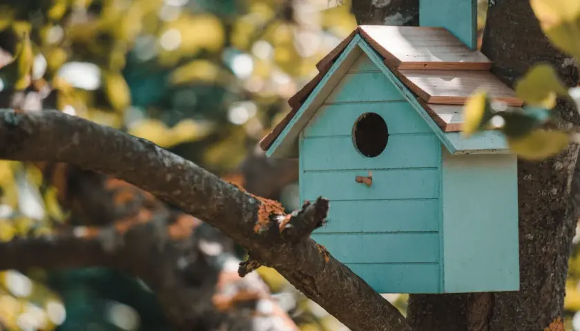 Casa para pájaros azul turquesa, con techo de madera, colgada en un árbol. Ideal para aprender como hacer una casa para pajaros.