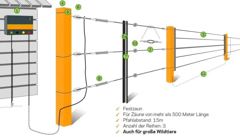 Schema eines Weidezauns für Rinder, der die Vorschriften für Pfahlabstand und Reihenanzahl zeigt. Auch für Wildtiere geeignet.