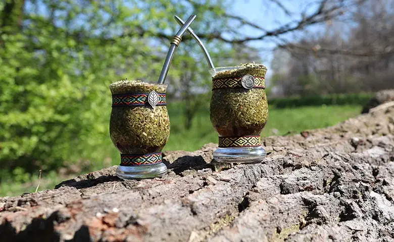 Yerba mate w Łodzi: 5 miejsc, gdzie kupisz najwyższej jakości