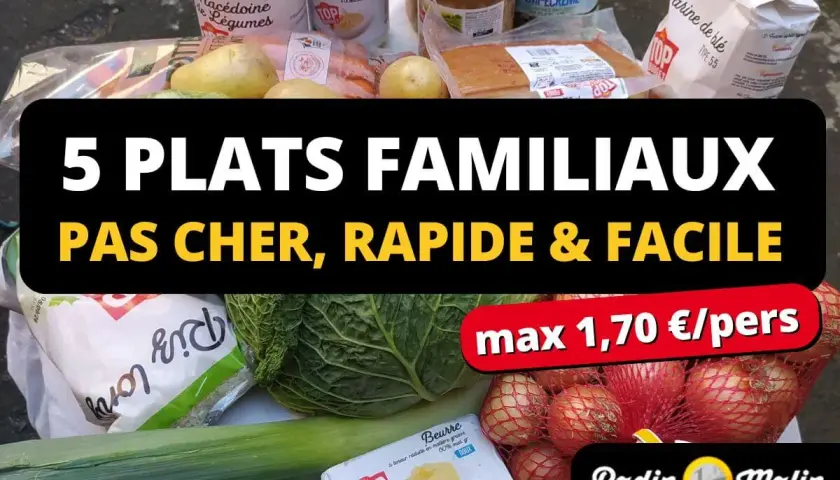 Ingrédients pour une recette pas cher : légumes, beurre, farine, lait, pommes de terre, oignons. Idéal pour 5 plats familiaux rapides et faciles.