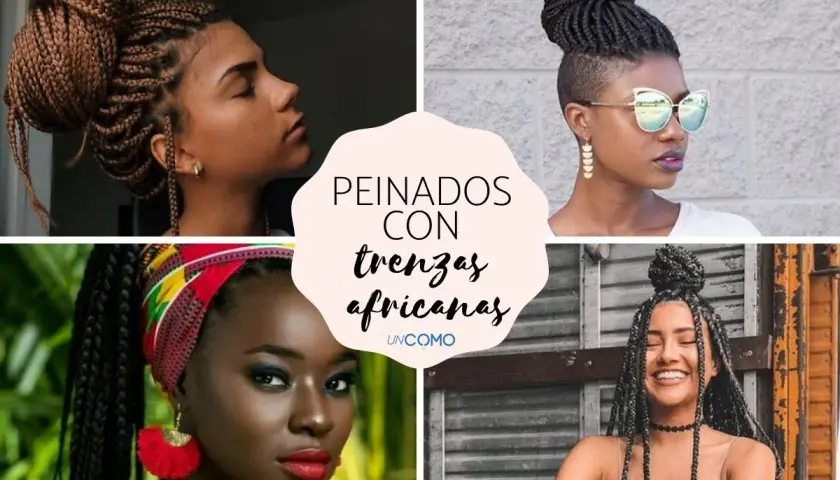 Mujeres con diversos tipos de trenzas africanas: recogidos altos, moños y estilos sueltos.