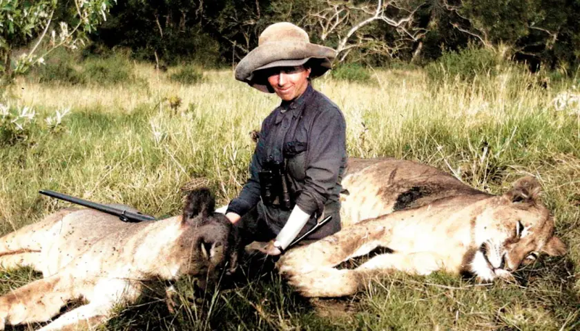 En kvinna med hatt och kikare sitter bland två lejon. Hon påminner om Karen Blixens alter ego, redo för äventyr i Afrika.