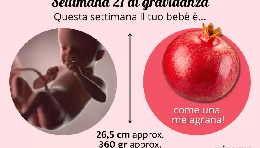 Settimana 21 di gravidanza: il tuo bebè è grande come una melagrana, 26,5 cm e 360 gr. Non sento i movimenti, ma cresce!