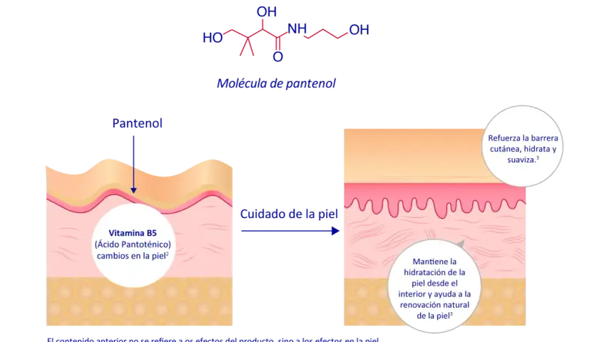 La molécula de pantenol (Vitamina B5) mejora el cuidado de la piel, reforzando su barrera, hidratando y suavizando.