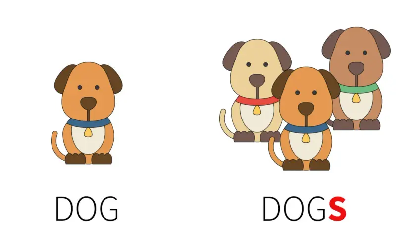 Un cane (dog) e tre cani (dogs). Illustrazione per capire i sostantivi numerabili e non numerabili in inglese.