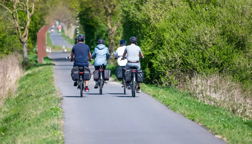 Four cyclists enjoy a scenic path, perfect for Belgium cycling tours. Lush green trees line the route.