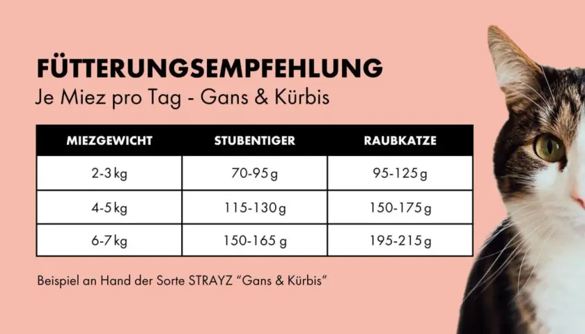 Tabelle: wieviel trockenfutter und nassfutter katze? Empfehlung für Katzenfutter (Gans & Kürbis) nach Gewicht und Aktivität.