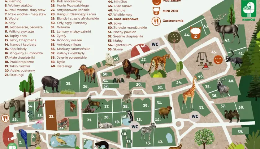 Co ciekawego w Krakowie? Mapa zoo z zwierzętami: od słoni i żyraf po pandy i tygrysy. Znajdź też place zabaw i gastronomię.