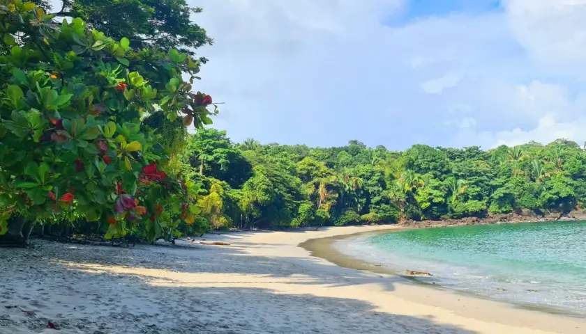Playa virgen en Manuel Antonio, Costa Rica, con arena blanca, vegetación exuberante y aguas turquesas.