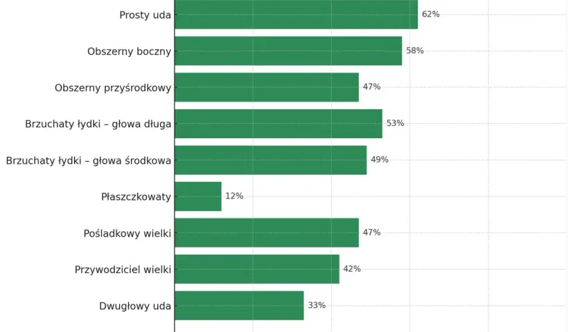 Wykres słupkowy pokazuje procentowy udział włókien typu II w mięśniach dolnej części ciała. Najwięcej tych włókien, kluczowych dla siły i szybkości, znajduje się w prostym udzie (62%).