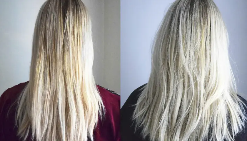 Två bilder av blont hår. Vänster bild visar torrt hår med synliga gula toner. Höger bild visar samma hår efter användning av silverschampo, med en kallare, silveraktig ton.