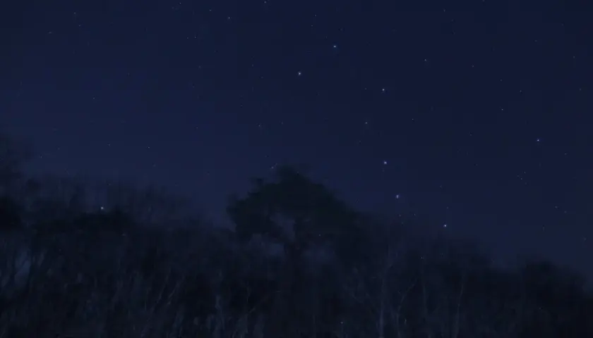 Nocne niebo nad lasem, gdzie widać gwiazdozbiór Wielkiej Niedźwiedzicy, a w jego pobliżu jaśnieje gwiazda polarna z bliska.