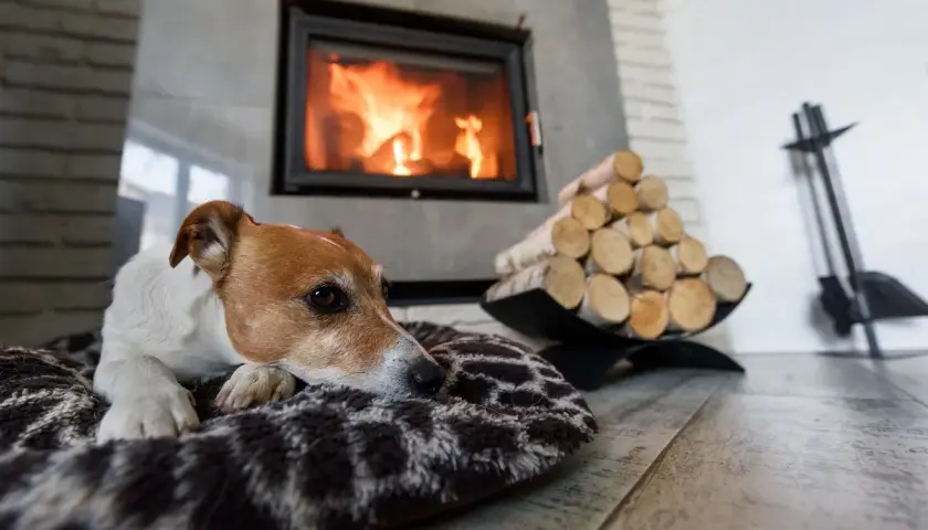 Piesek odpoczywa przy kominku, gdzie płonie ogień. Obok stos drewna, które ogrzeje dom. To idealne miejsce, by poczuć ciepło, jak od najlepszych radiatory do kominków.