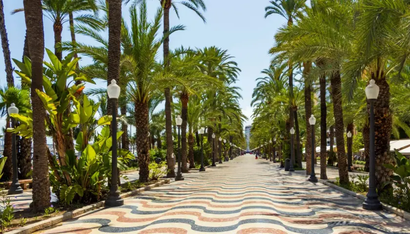 Una soleada promenada alicante con palmeras a ambos lados y un suelo de mosaico ondulado.
