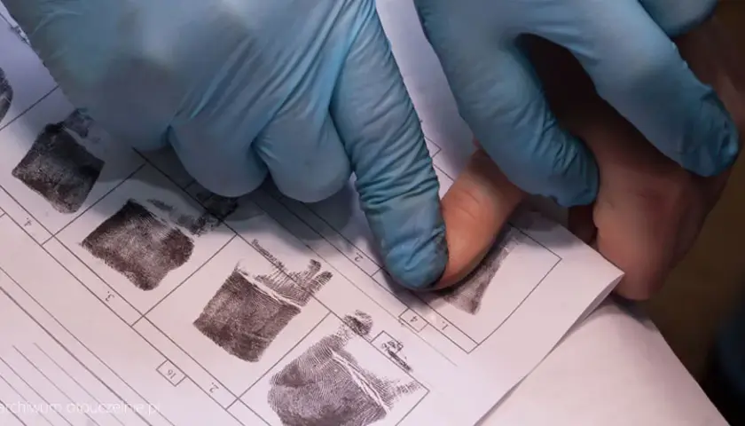 Biologia sądowa: Czy warto? Studia i praca bez serialowych mitów