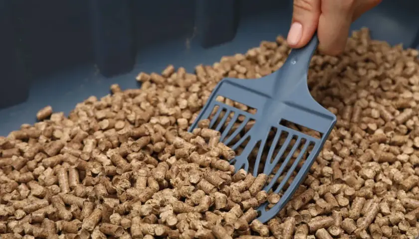 Dłoń z łopatką do żwirku przesypuje pellet z trocin w pojemniku.